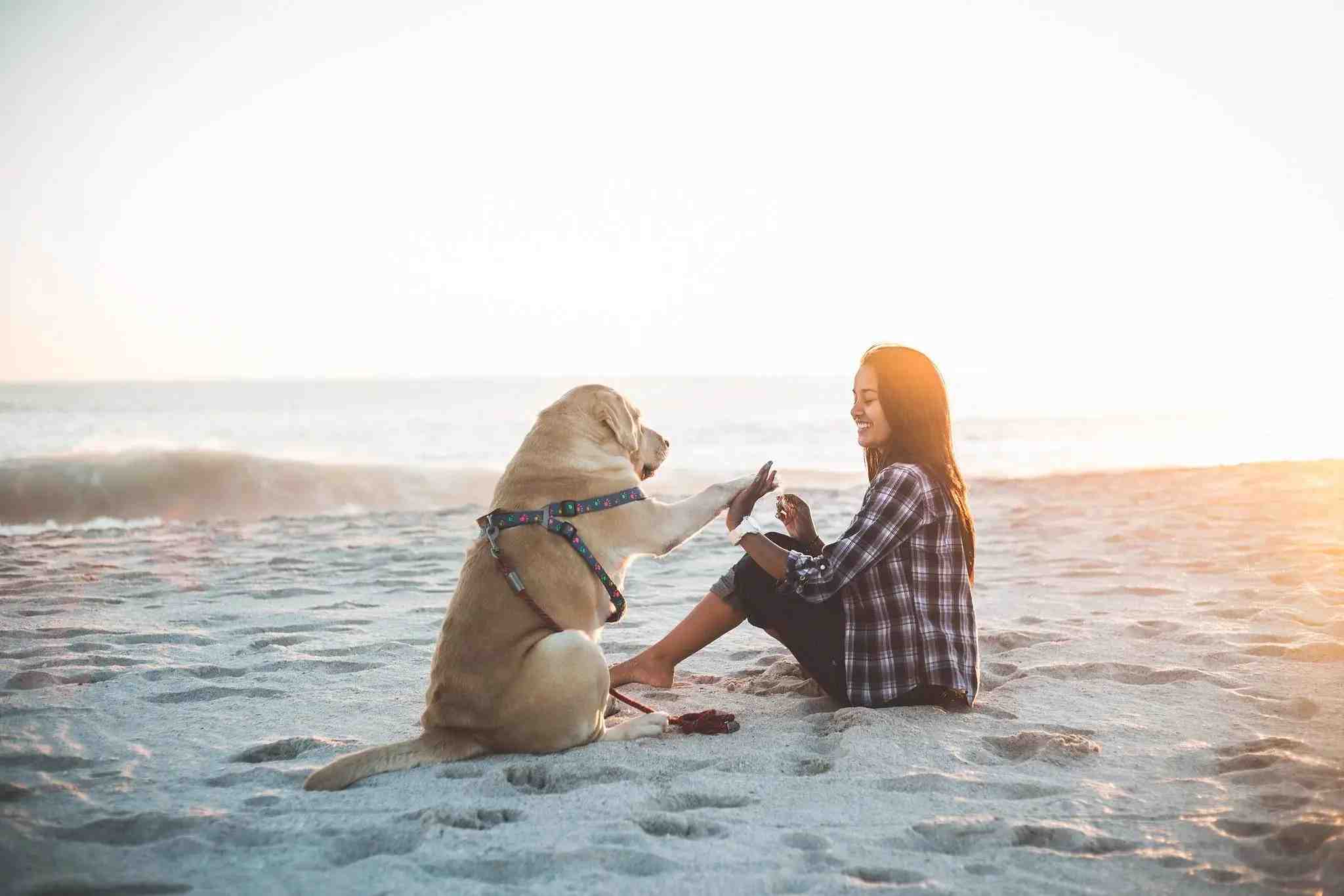 AI-Powered Parsing